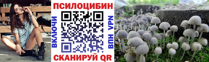 Псилоцибиновые грибы мухоморы  Дербент 